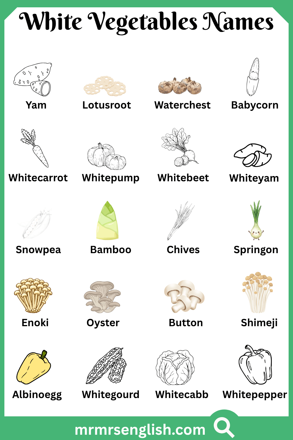 Types of White Vegetables Names with Pictures