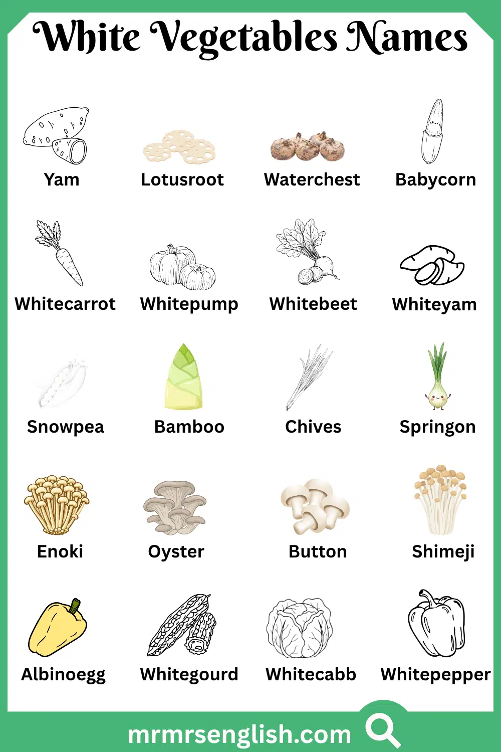 Types of White Vegetables Names with Pictures