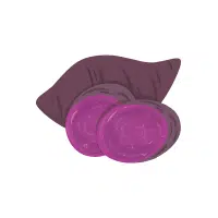 Ube | Tuber Vegetables Names