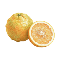 Ugli | Autumn Fruits Names
