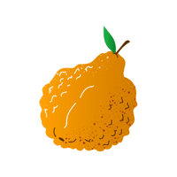 Ugli fruit | Spring Fruits Names