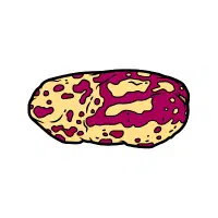 Ulluco | Tuber Vegetables Names