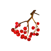 Viburnum | Flowering Shrubs Names