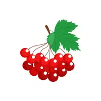 Viburnum | Shrub Plants Names