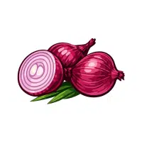 Walking | Bulb Vegetables Names