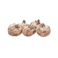 Waterchest | White Vegetables Names