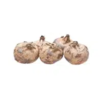 Waterchest | White Vegetables Names
