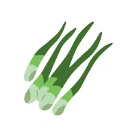 Welsh | Bulb Vegetables Names