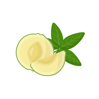 White Sapote | Fruit Plants Names