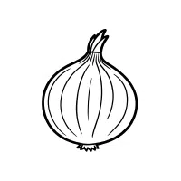 White | Bulb Vegetables Names