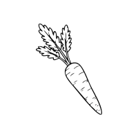 Whitecarrot | White Vegetables Names