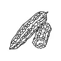 Whitegourd | White Vegetables Names