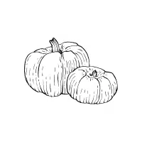 Whitepump | White Vegetables Names