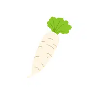 Whiteradish | Root Vegetables Names