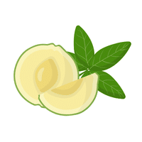 Whitesapote | Coastal Fruits Names