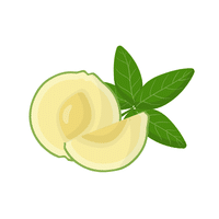 Whitesapote | Island Fruits Names