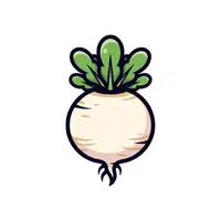 Whiteturnip | Root Vegetables Names