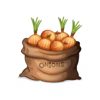 Wild | Bulb Vegetables Names