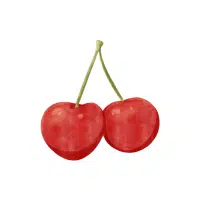 WildCherry | Mountain Fruits Names