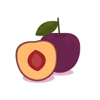 WildPlum | Mountain Fruits Names