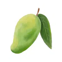 Wildmango | Coastal Fruits Names
