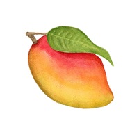 Wildmango | Island Fruits Names