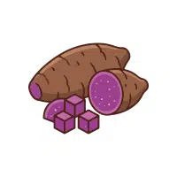 Wildyam | Rhizome Vegetables Names