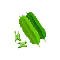 Winged | Pod Vegetables Names