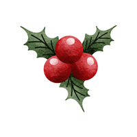 Winterberry | Flowering Shrubs Names