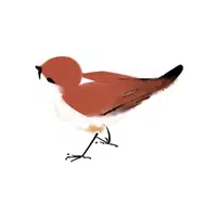 Woodlark | Songbirds Names