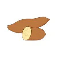 Yacon | Root Vegetables Names