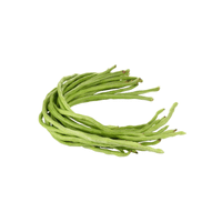 Yardlong | Seed Vegetables Names