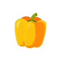 Yellow pepper | Seasonal Vegetables Names