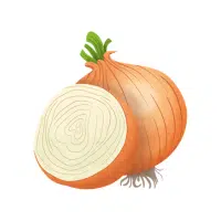 Yellow | Bulb Vegetables Names