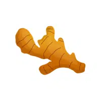 Yellowginger | Rhizome Vegetables Names