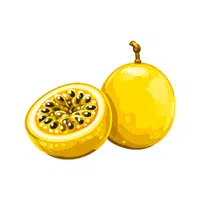 Yellowpassion | Coastal Fruits Names