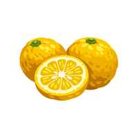 Yuzu | Autumn Fruits Names