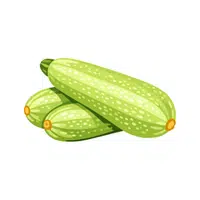 Zucchini | Seed Vegetables Names