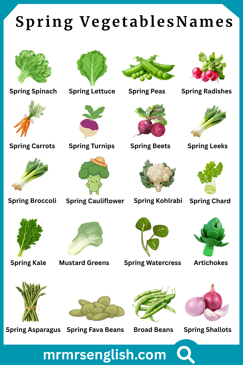 60 Names of Spring Vegetables with Their Pictures