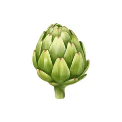 Artichoke | Spring Vegetables Names