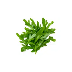 Arugula | Spring Vegetables Names
