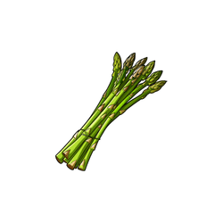 Asparagus | Spring Vegetables Names