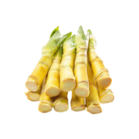 Bamboo Shoots
