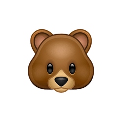 Bear | Animal Emojis Names in English