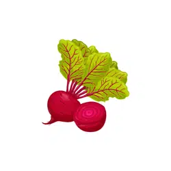 Beets | Spring Vegetables Names