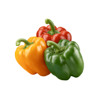 Bell Pepper