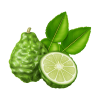 Bergamot