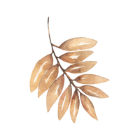 Birthwort