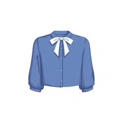 Blouse | Clothes Emojis Names in English