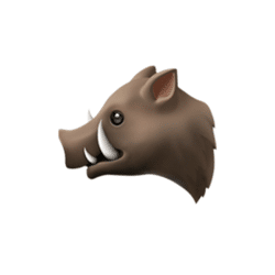 Boar | Animal Emojis Names in English